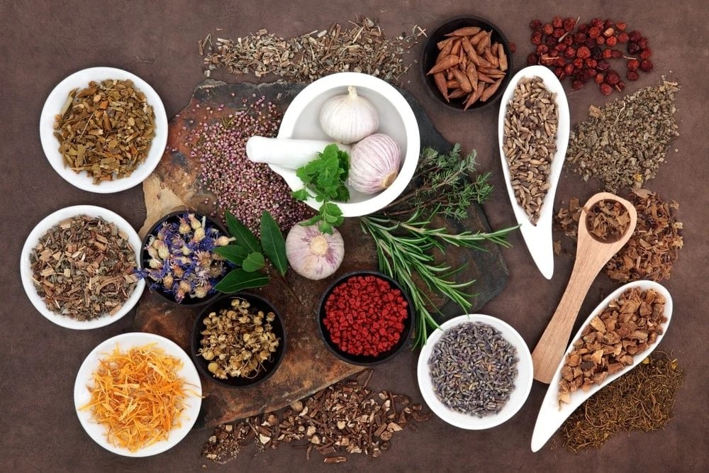 Boosting Male Fertility Naturally: The Role of Herbs and Healthy Lifestyle Choices